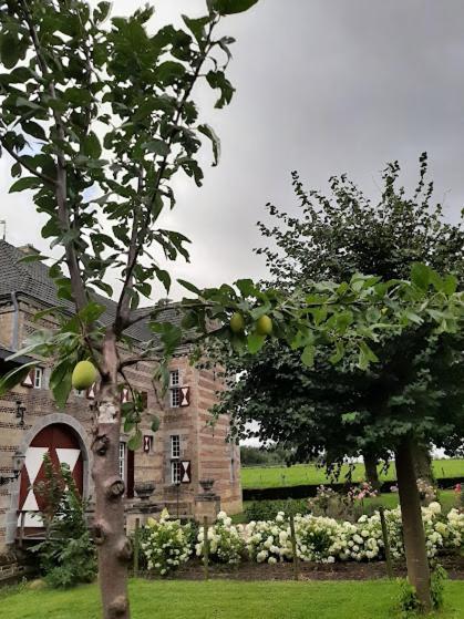 דירות Valkenburg aan de Geul Het Sibberhuuske מראה חיצוני תמונה